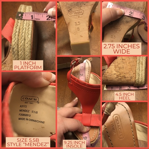 SOLD LOCALLY - Picture 8 of 8